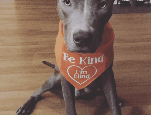 Why Vanguard’s benefits are the ’pawfect’ fit for our family